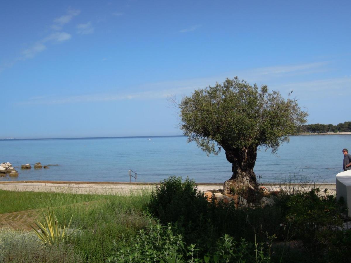 Stella Maris Appartement Umag Dış mekan fotoğraf